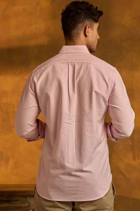 Pink Striped Oxford Button Down Collar Shirt