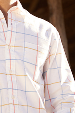 White Multicolor Checks Oxford Shirt